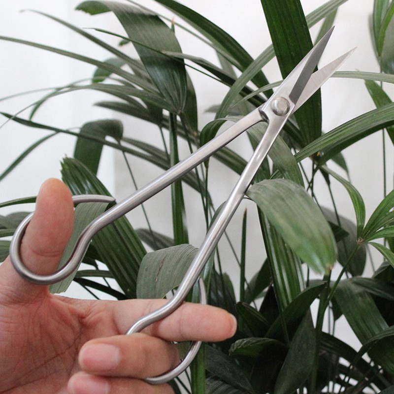 Bonsai Scissors Stainless Steel Leaf Sprout Shears with Long Handle