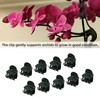 Plant Clips ValueHall 100pcs Orchid Clips Plastic Mini Stalks Plant Orchid Support