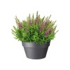 elho Loft Urban Bowl 35 - Flower Pot for Outdoor