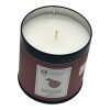 Place & Time Candle Apples, Oats & Cinnamon Farmhouse Soy