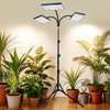 3Head 75W Standing Grow Lights for Indoor Tall Plants, Monstera