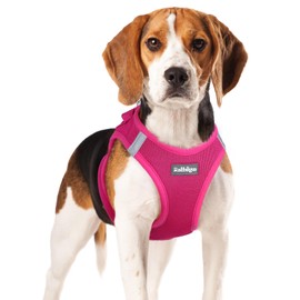 rabbitgoo Small Dog Harness, Step-in Soft Mesh Puppy Vest, Easy Walk with Safety Buckle, Breathable Reflective Pet Harness for Small Medium Dogs, Rose Red XL