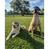 Large Dog Sunglasses, Dog Goggles Large Breed and Medium, UV