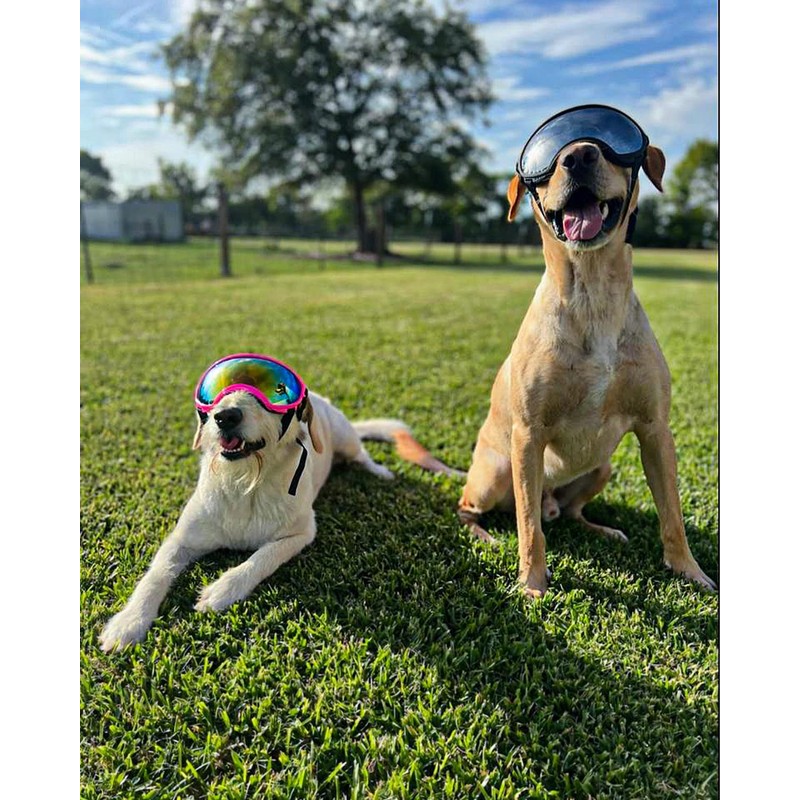 Large Dog Sunglasses, Dog Goggles Large Breed and Medium, UV