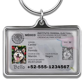 Tarjeta de Identificación Personalizada - Placa Metálica Duradera para Perros y Gatos, Certificad...