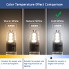 Caldarax 6 Pack G4 LED Bulbs 2W, AC/DC 12V, Equivalent