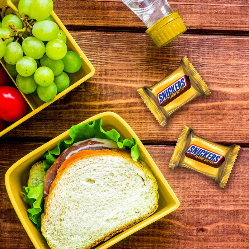 Mars SNICKERS Crunchy Peanut Butter Squared Fun Size Chocolate Candy