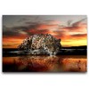 Cliouar - Animal Leopard 3D Wallpaper Mural 103" x 69"