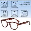 Calabria 4376CB Classic Retro Bi Focal Reading Glasses w/Matching Case