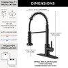 FORIOUS Black Kitchen Faucets with Sprayer, Stainless Steel Sink Faucet
