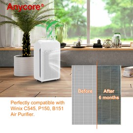 Anycore C545 Filter Hepa Only 2 Pack Compatible with Winix C545 Model S 1712-0096-00, Air Filter Replacement Compatible (2PC H13 Grade HEPA Filter)