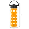Lifefactory 16-Ounce Glass Water Bottle with Pivot Straw Cap and