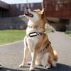 Reflective Safety Patches Reflective Patch Backpack Patches Velcro Luminous Reflective