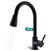 Black Kitchen Faucet with Pull Down Sprayer for RV Sink,