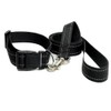 Plain Black Colour Dog Collar And Lead Matching Set Combo