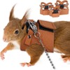 3 Pack Squirrel Harness and Leash Set - Adjustable Traction