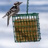 C&S Double Suet Basket 6.4 Ounces