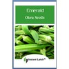100 Emerald Okra Seeds for Planting Non GMO Heirloom Seeds