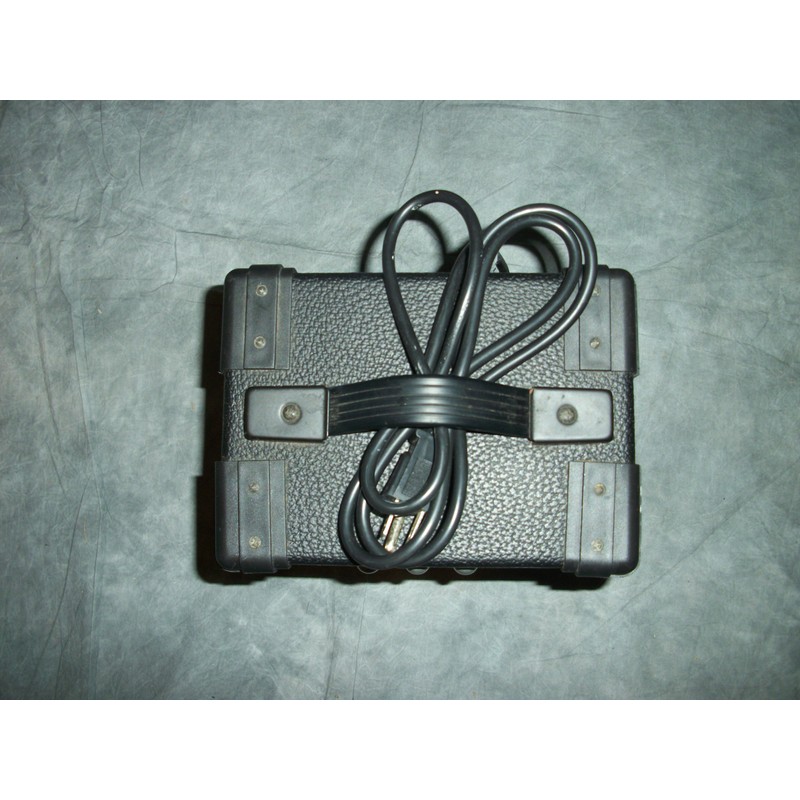 Washburn Bad Dog 8 Watt Amp