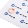 Gasket, Nozzle Holder VW 1.6TDI 09-