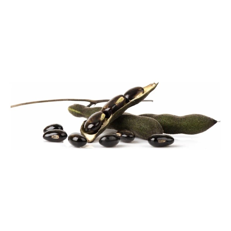 Mucuna Pruriens Adaptógeno 50g Commons Polvo 100 Orgánico