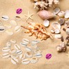 PATIKIL Natural Seashell Charm, 20 Pcs Oval Dyed Shell Craft