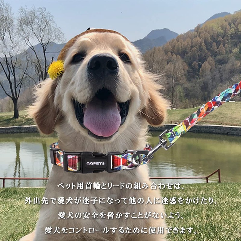 Petilet Dog Leash & Collar, Dog Collar Leash for Small,