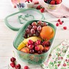 Snips Aroma Keeper Früchte, Kunststoff, Grün, 4 LT - rechteckig