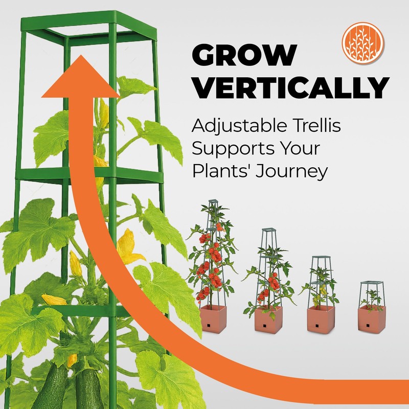 Bio Green 2 Pack Garden Tomato Planter MAXITOM, with Plant