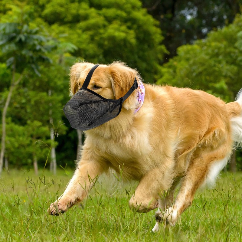 Muzzle for Large Dogs, Adjustable Breathable Pet Mask, Muzzle for