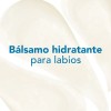 Balsamo Labios Bioderma Atoderm 15ml Protector Partidos Seco