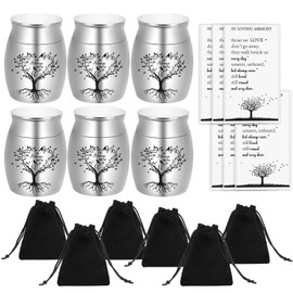 AIOMOB 6 Set Small Urns for Ashes Cremation Urns 1.57 Inch Silver Ashes Keepsake Funeral Urn with Memorial Cards and Velvet Bag for Human Pet Ashes (Cardinal)