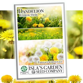 Dandelion Seeds (Taraxacum officinale) – 1,000+ Non-GMO Heirloom Seeds by Isla’s Garden Seeds, Nutrient-Rich Edible Greens, Hardy & Easy to Grow, Perfect for Salads,Teas & Pollinators,Funny Gift Idea