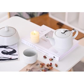 NCQIXIAO Rural Style Ceramic Teapot with Stainless Steel Infuser 16 Ounces Porcelain Blooming & Loose Leaf Teapot (White)