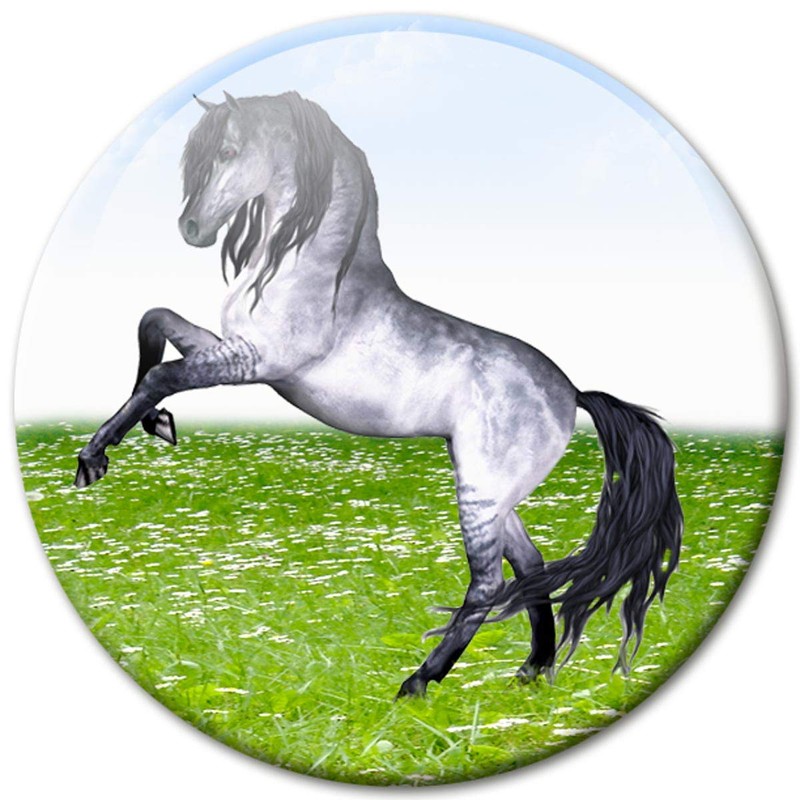 Fridge Magnets Horses Gift Set of 4 Horse Motif Magnets