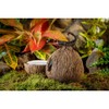 Exo Terra Exo Terra Tiki Hide & Water Dish,Brown,2 count