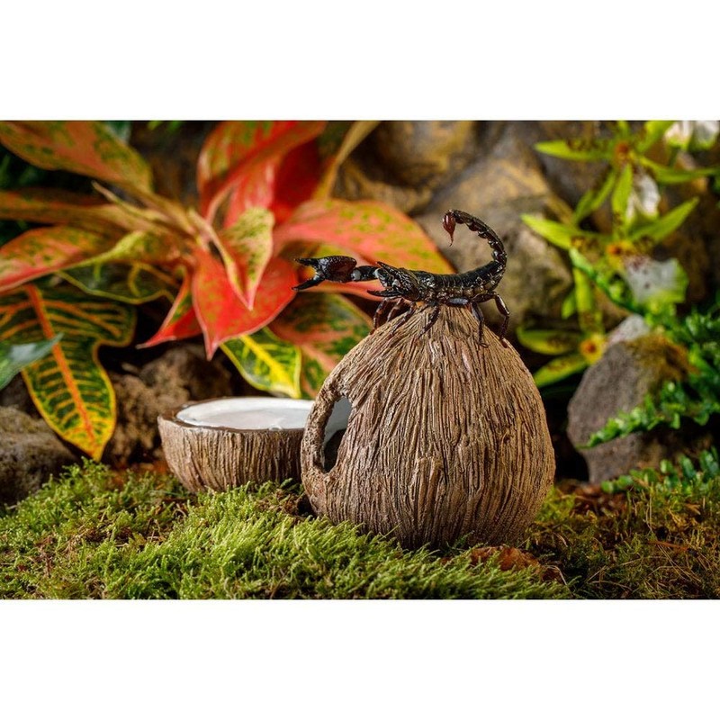 Exo Terra Exo Terra Tiki Hide & Water Dish,Brown,2 count