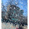 Philadelphia Eagles Super Bowl Confetti (4x6 Frame)