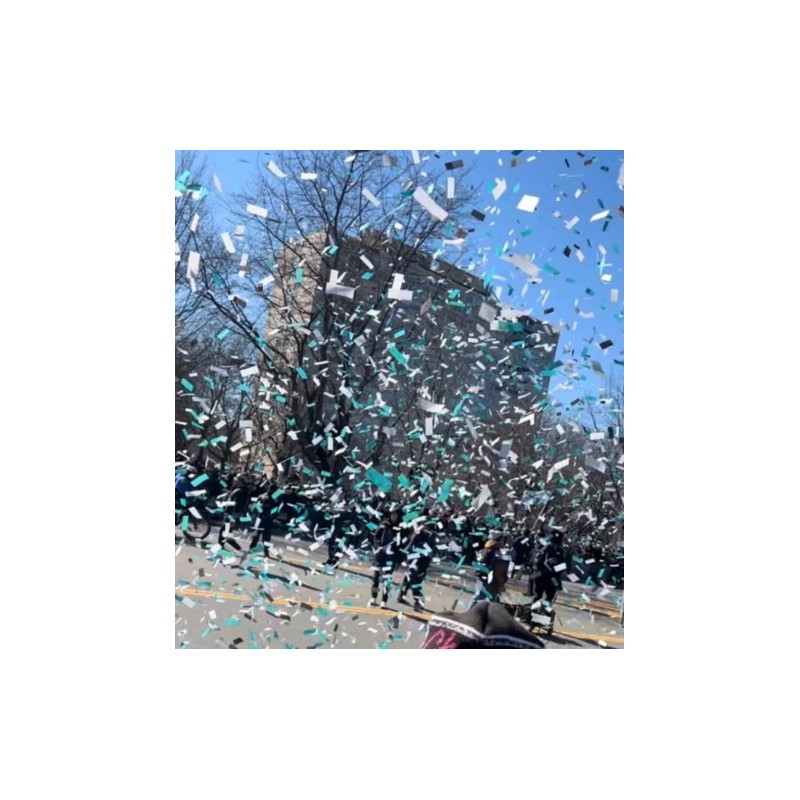 Philadelphia Eagles Super Bowl Confetti (4x6 Frame)