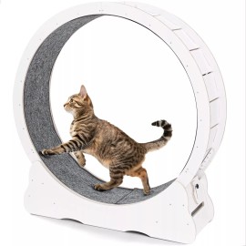 JFHID Large 46'' Wooden Cat Exercise Wheel Cat Treadmill Cat Running Wheel Silent Toy - 39.2'' - White