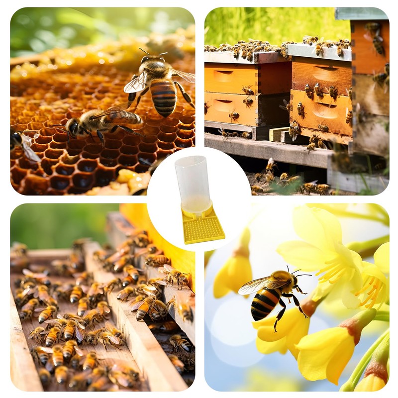 PAVIKE Bee Feeding Point, Beekeeping Equipment, Bee Drinking Water, Bee