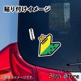 SignStore Peeping Cat Beginner Mark Sticker Approx. 4.7 x 4.7 inches (12 x 12 cm), Waterproof, Outdoor Use, Vinyl, Made in Japan, sticker_ShosinshaCat2_01 (brown)