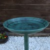 CLGarden Bird Bath VGT1 Bird Bath with Foot for Planting
