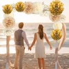 Champagne Tissue Paper Pom Poms, 20 Pcs Neutral Party Decorations,