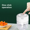 Mini Electric Garlic Chopper Large Capacity Powerful Motor 304 Stainless