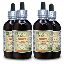 Herbal Terra LLC White Fungus (Tremella Fuciformis) Dried Mushroom Liquid Extract, Certified Organic 4x4 oz