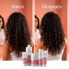 MASCARILLA HIDRATANTE CURLY 1 L - CUTINOL PLUS OYSTER