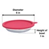 Messy Cats 4pc Set with Two Stainless Saucer Shaped Bowls