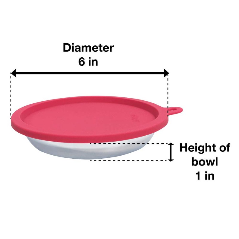 Messy Cats 4pc Set with Two Stainless Saucer Shaped Bowls