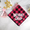Pack of 4 Cat Birthday Accessories, Cat Birthday Hat with